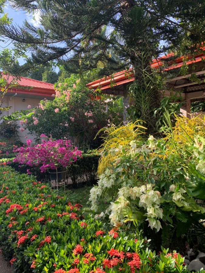 Bungalow  Dipolog City Exterior foto