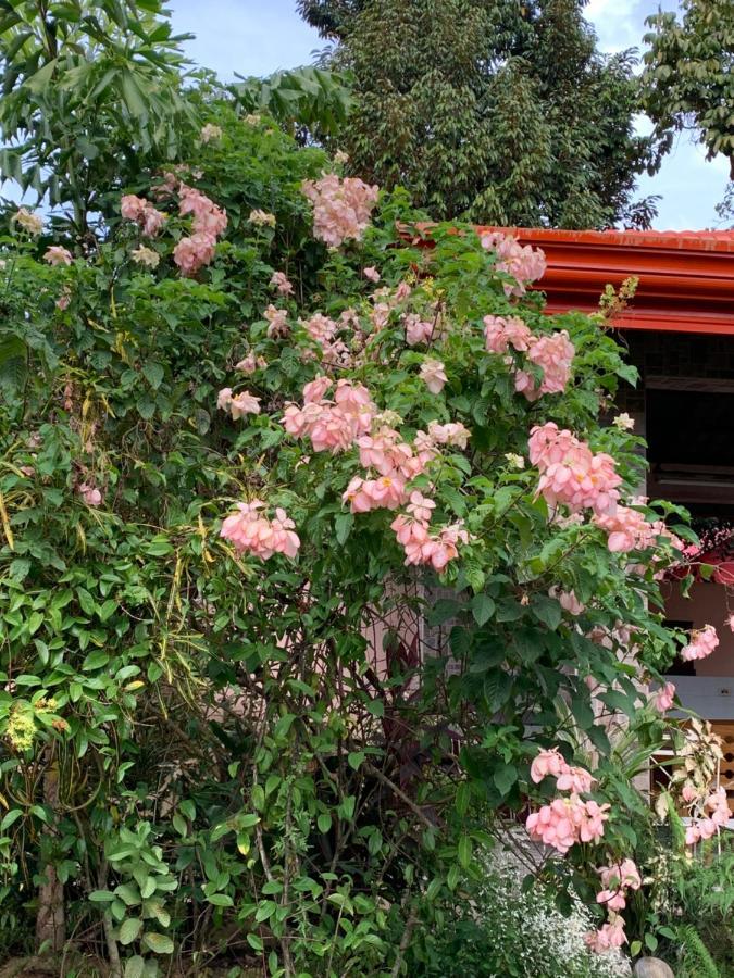Bungalow  Dipolog City Exterior foto